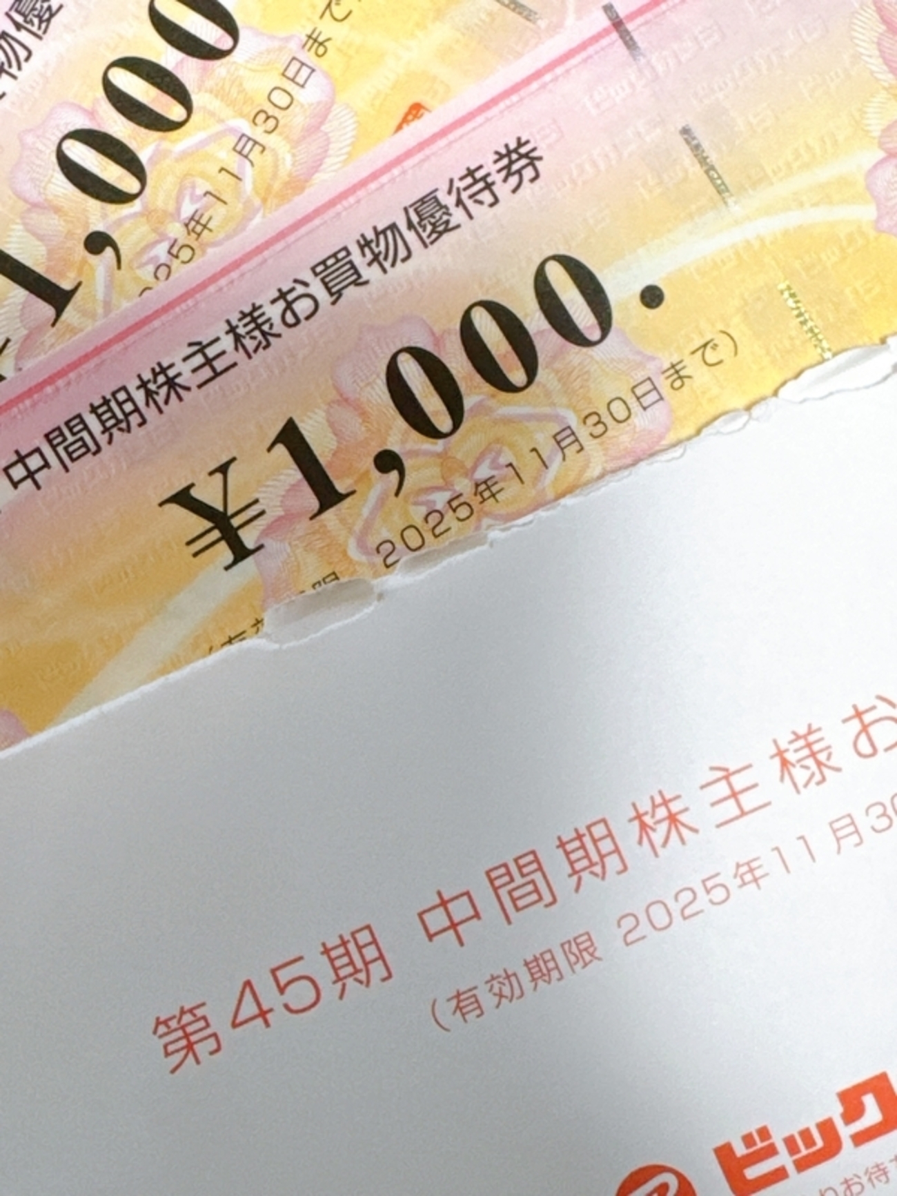 ビックカメラの株主優待が届いた話｜派手じゃないけど、ちょっと