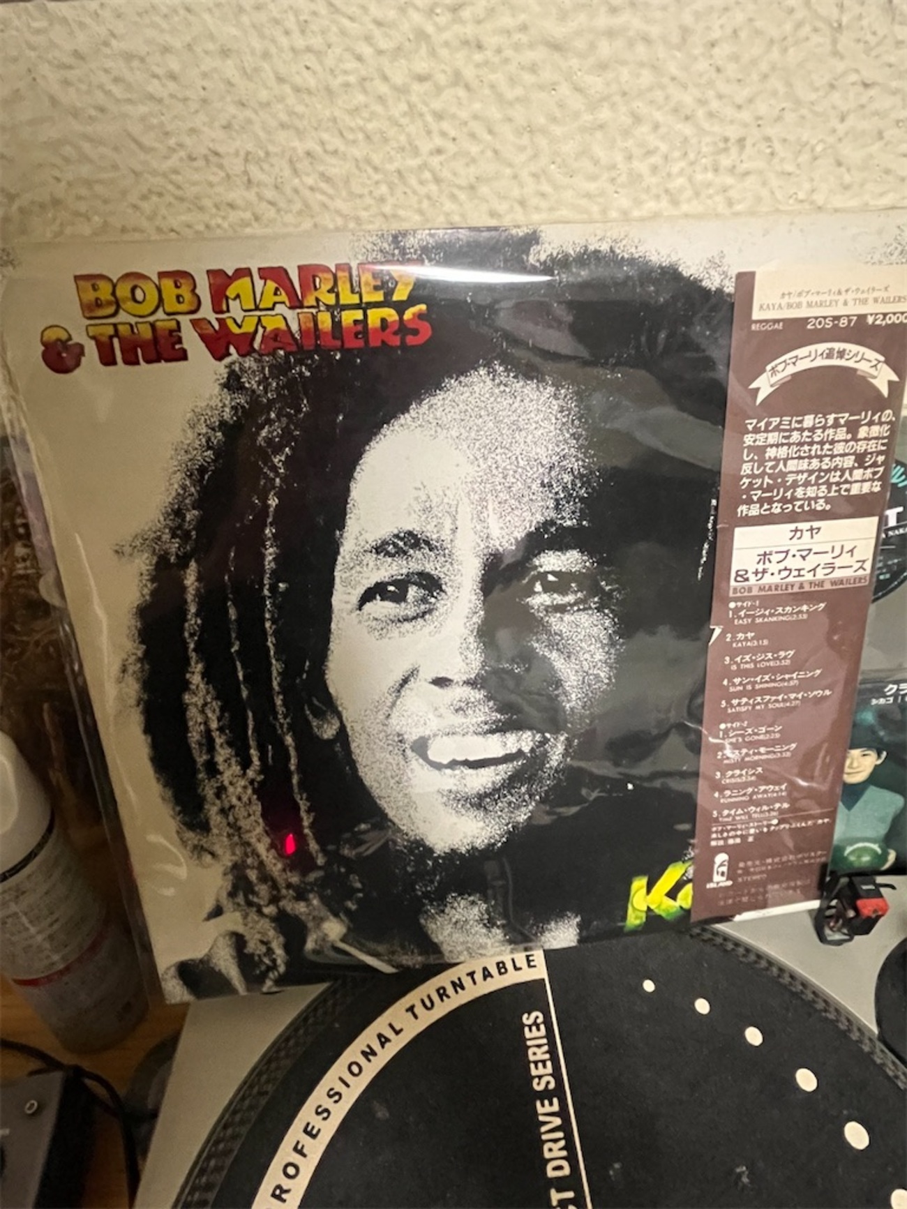 最近買ったレゲエのレコード - 洋楽好きの独り言