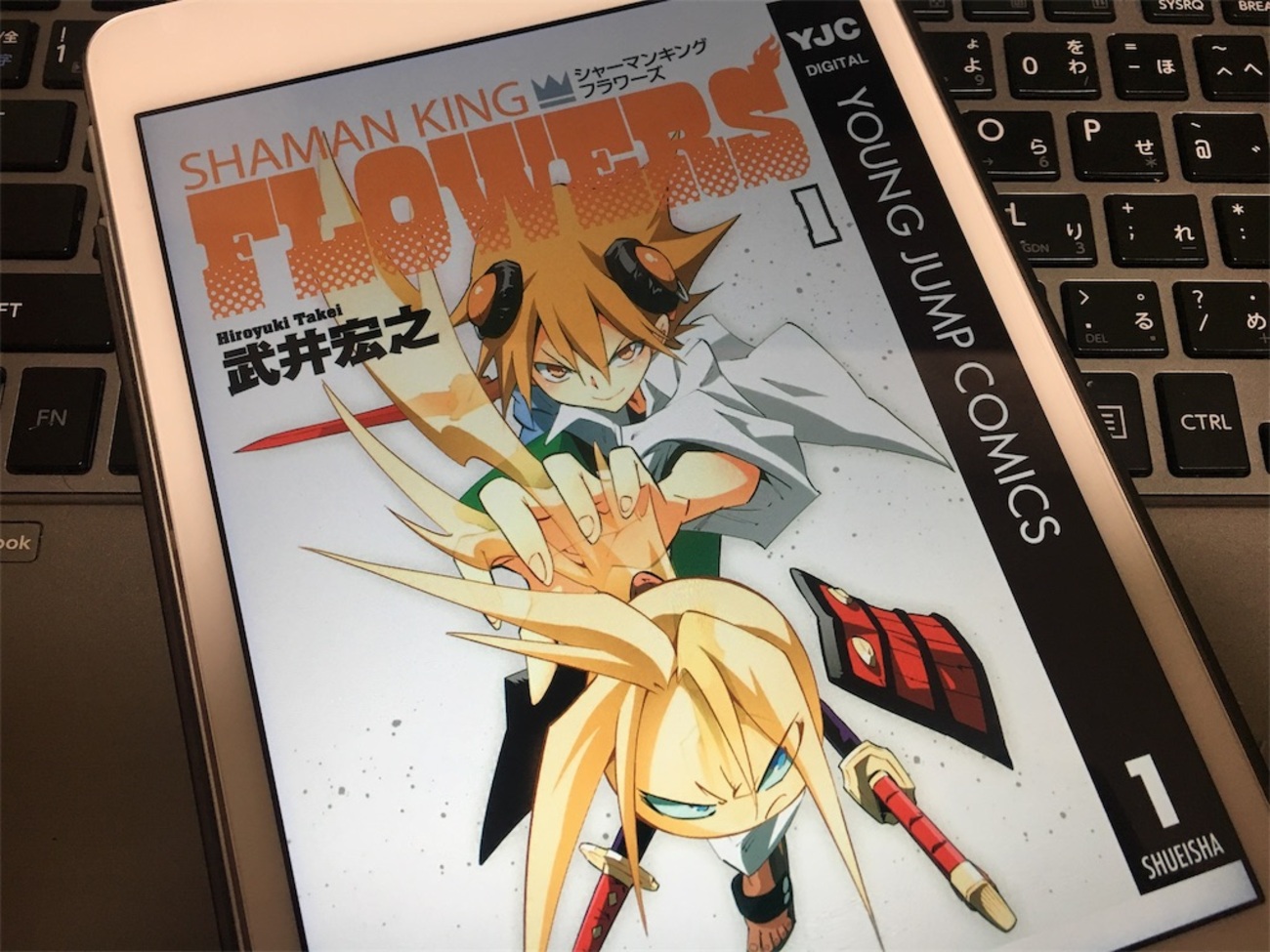シャーマンキング フラワーズ全巻+シャーマンキング0（ゼロ）全巻  