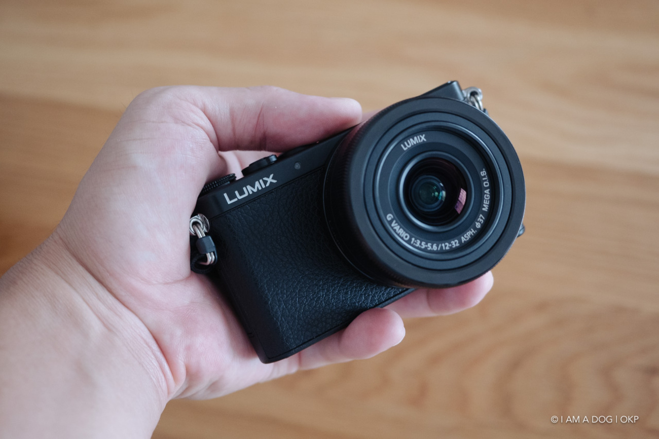 今更ながらLUMIX DMC-GM1を入手：マイクロフォーサーズのコンパクト性 