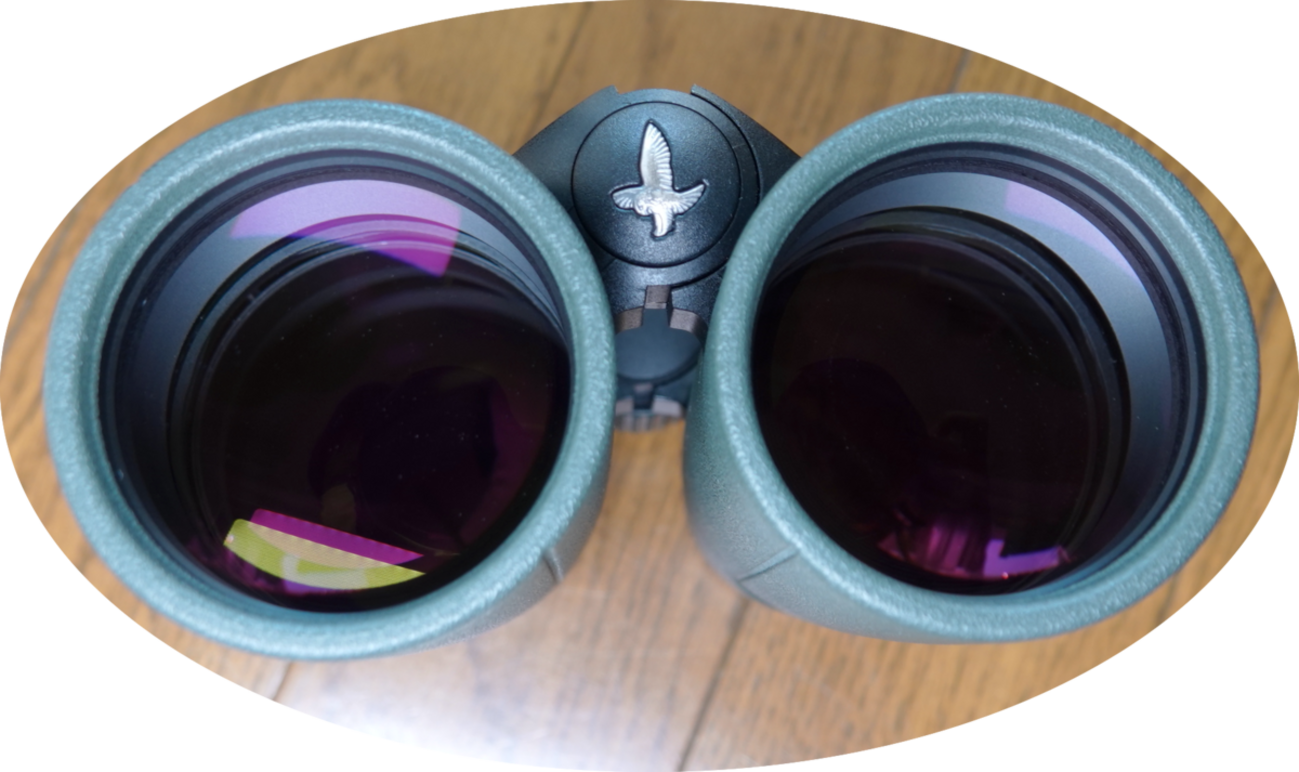 SWAROVSKI OPTIK EL スワロフスキ 10x42 売り出せ 6.4° 双眼鏡
