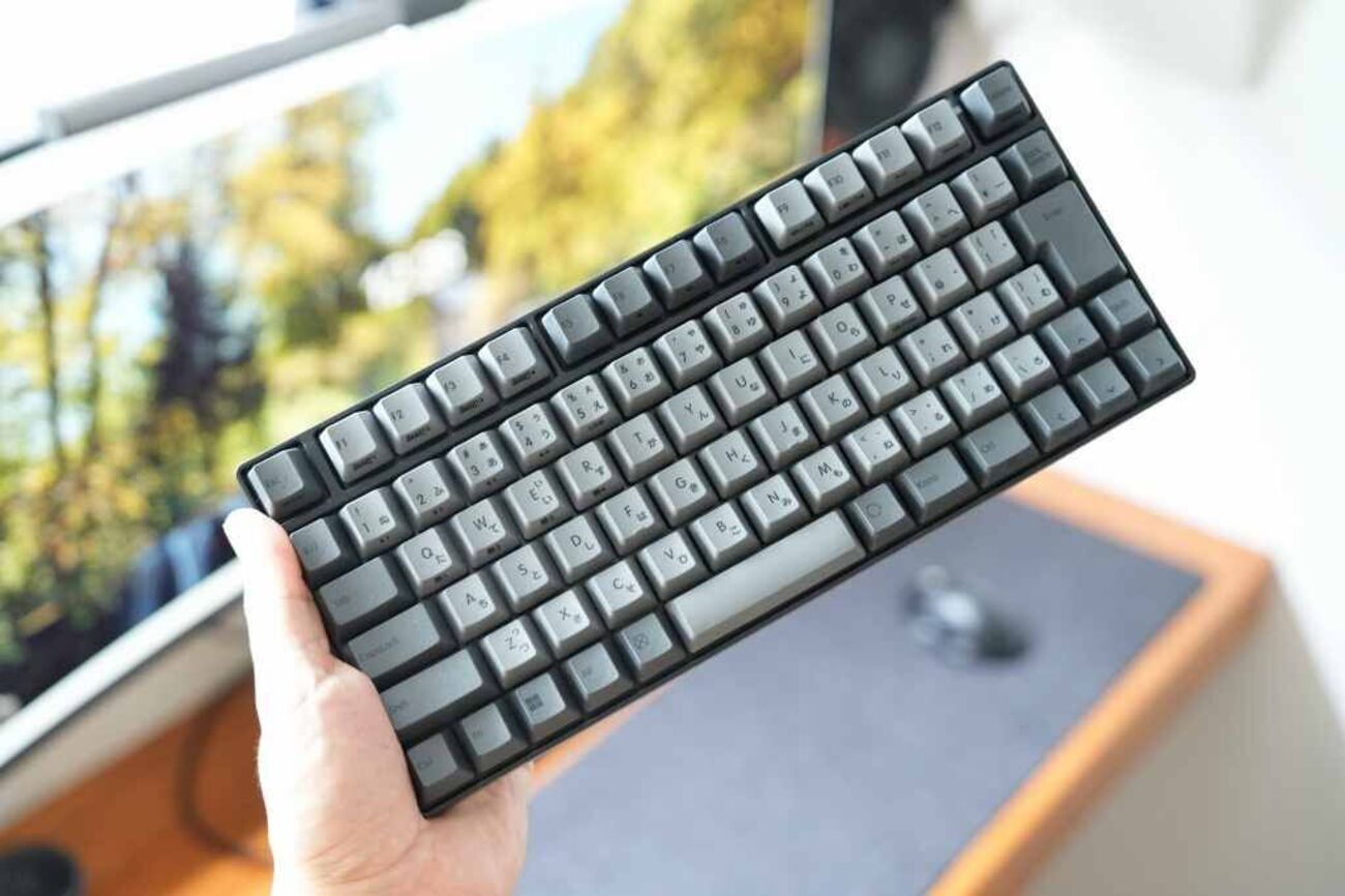 REALFORCE RC1 日本語配列 45g C1HJ11（REALFORCE RC1レビュー 
