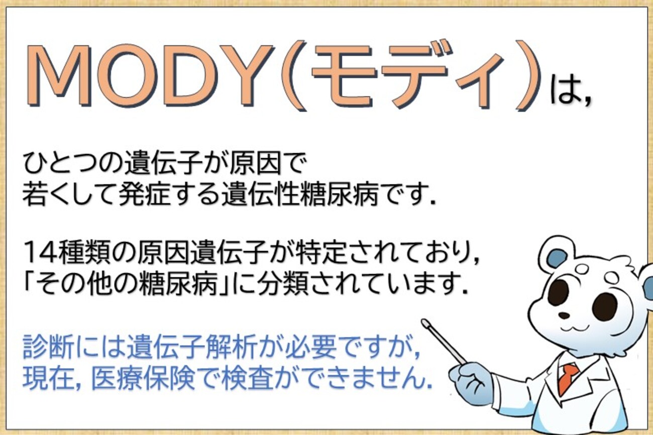 MODY(Maturity-Onset Diabetes of the Young)とは - 一般社団法人モノジェニックの会