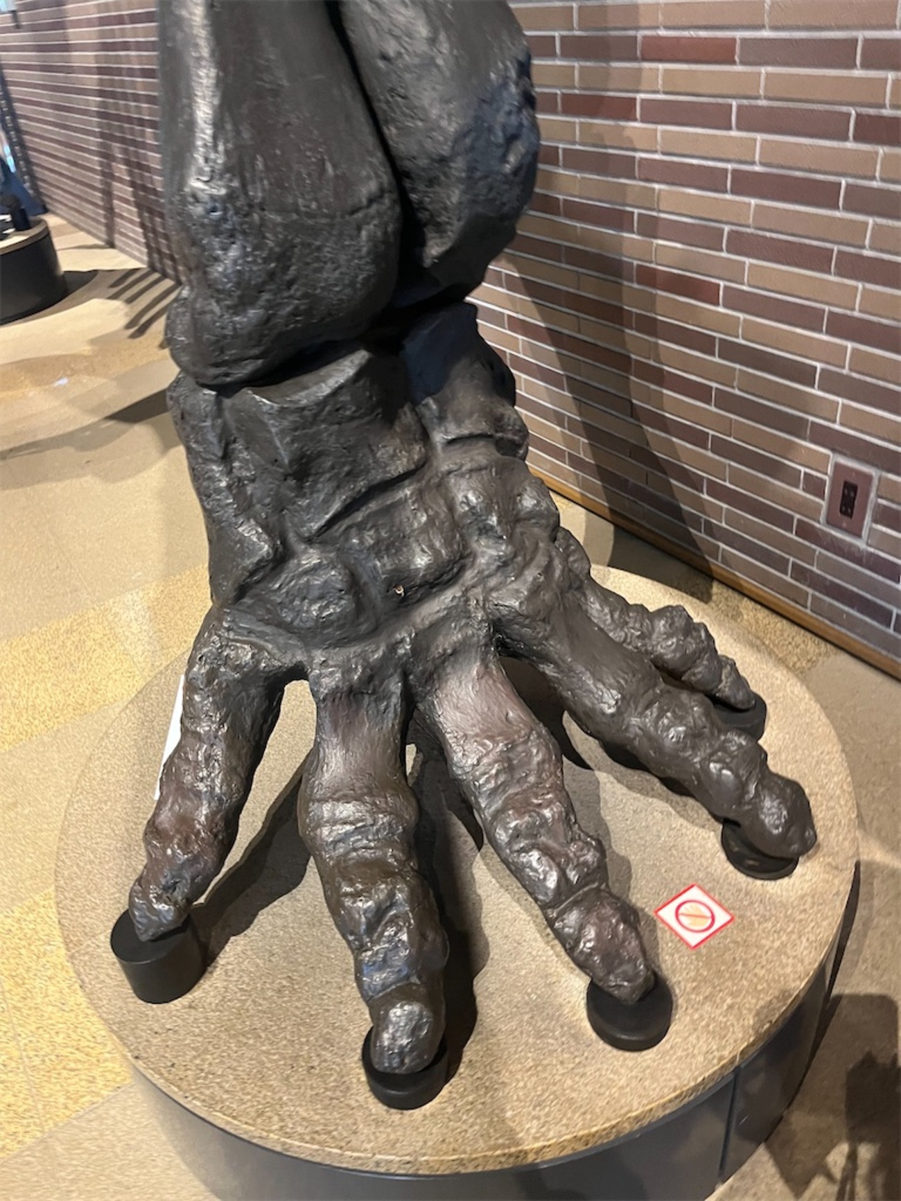 2日目次に行ったのは「ミュージアムパーク茨城県自然博物館」でした