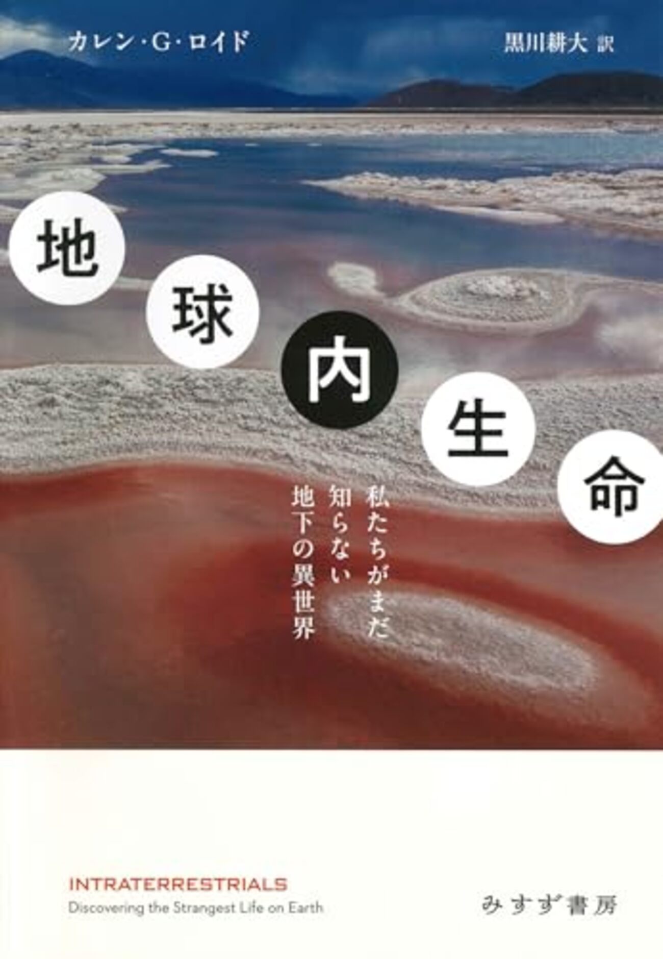熱力学を通して、地球内生命を異なる時間スケールからとらえ直す傑作