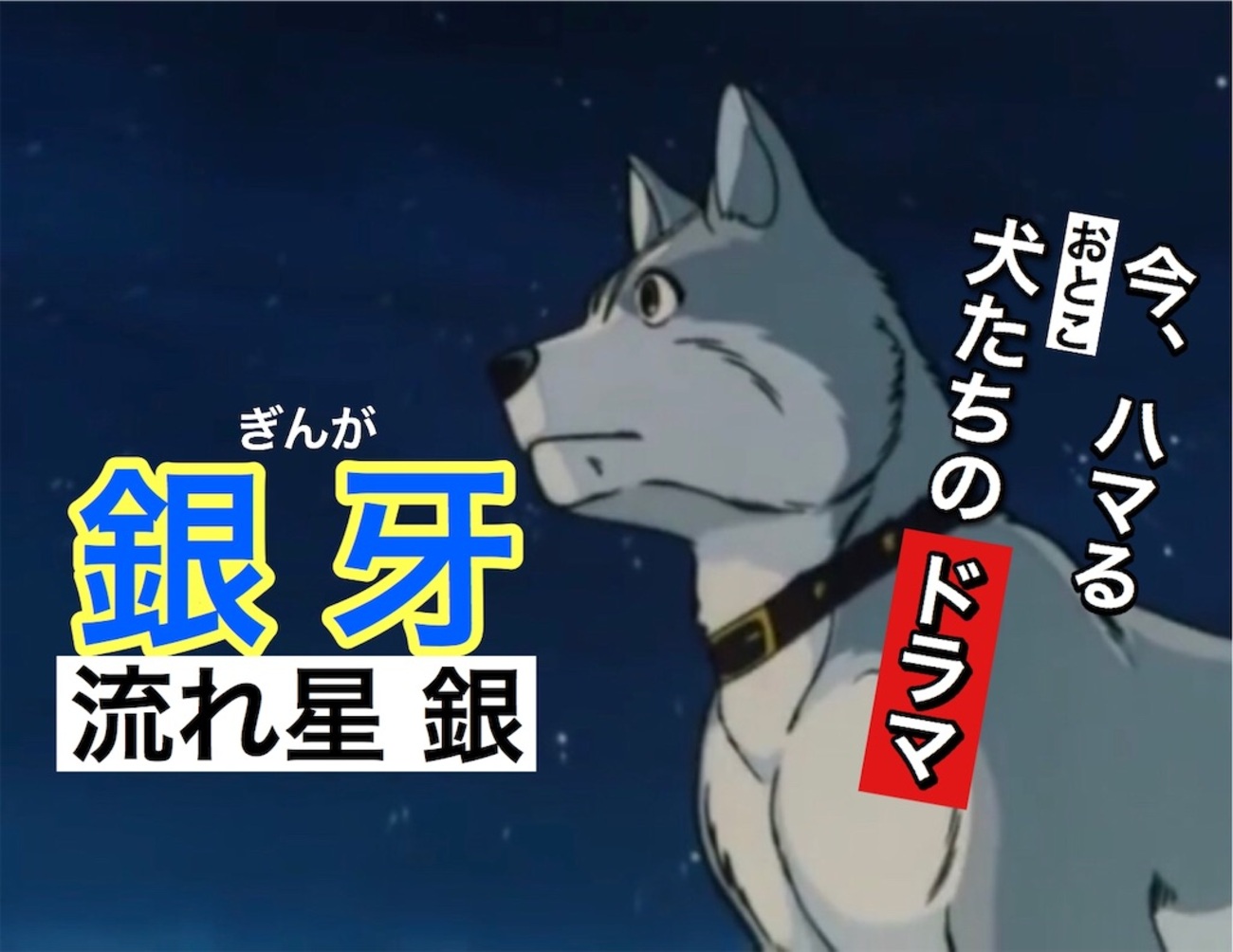 風になり走れ！】『銀牙 流れ星銀』巨大熊と闘う、親子三代による男