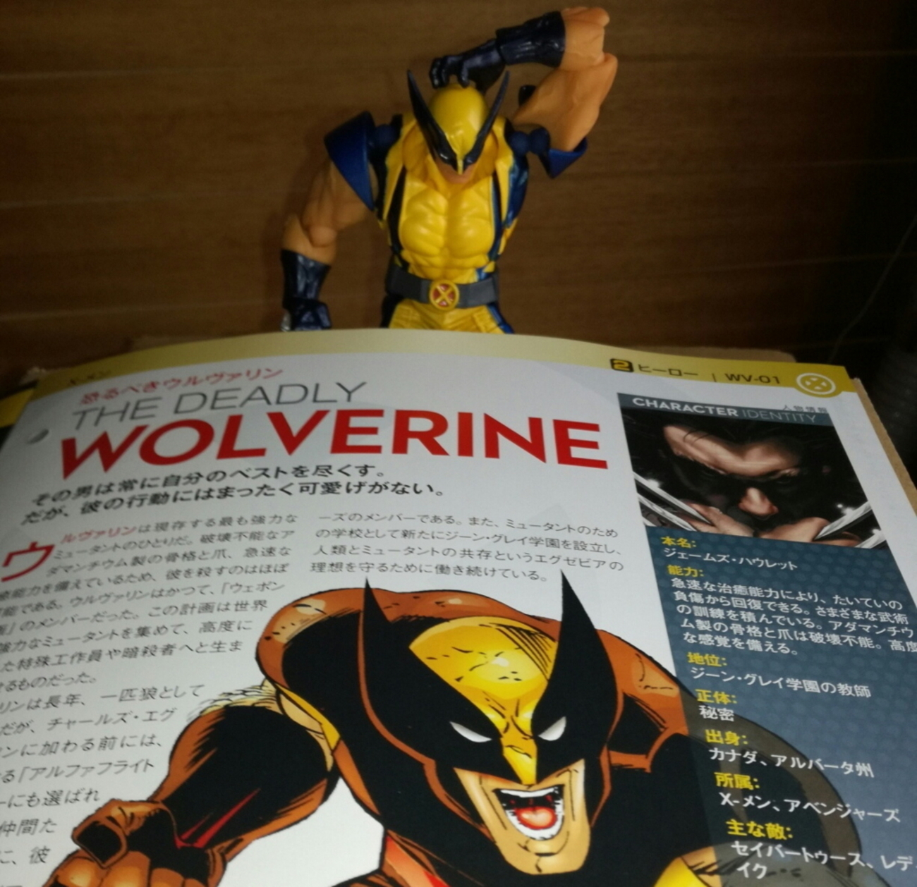 マーベル・ファクト・ファイルのレビューというか感想 - ykx47のblog