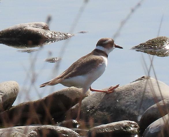 東姫路駅とは 地理の人気 最新記事を集めました はてな