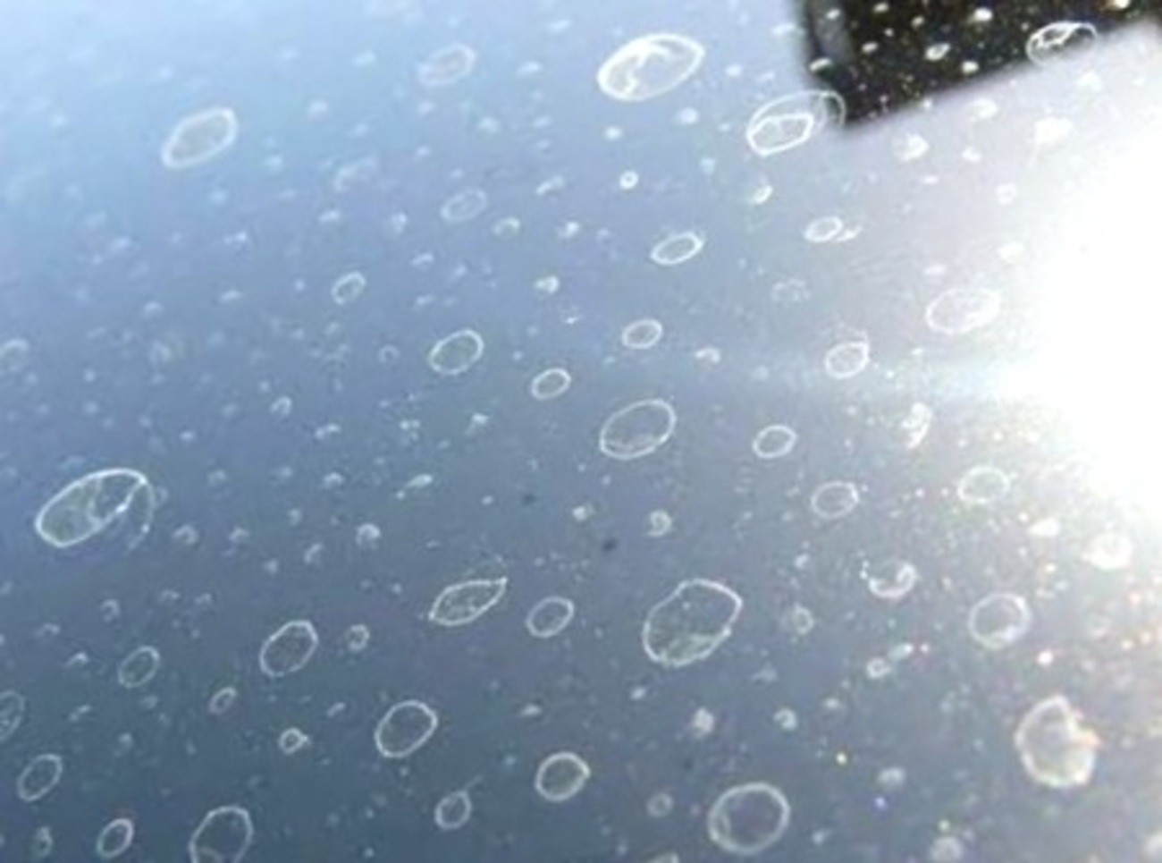 洗車後に走って乾かすのはアリ？拭かないリスクと雨の日の例外条件 - 斜め36度の視点から話題を斬る！