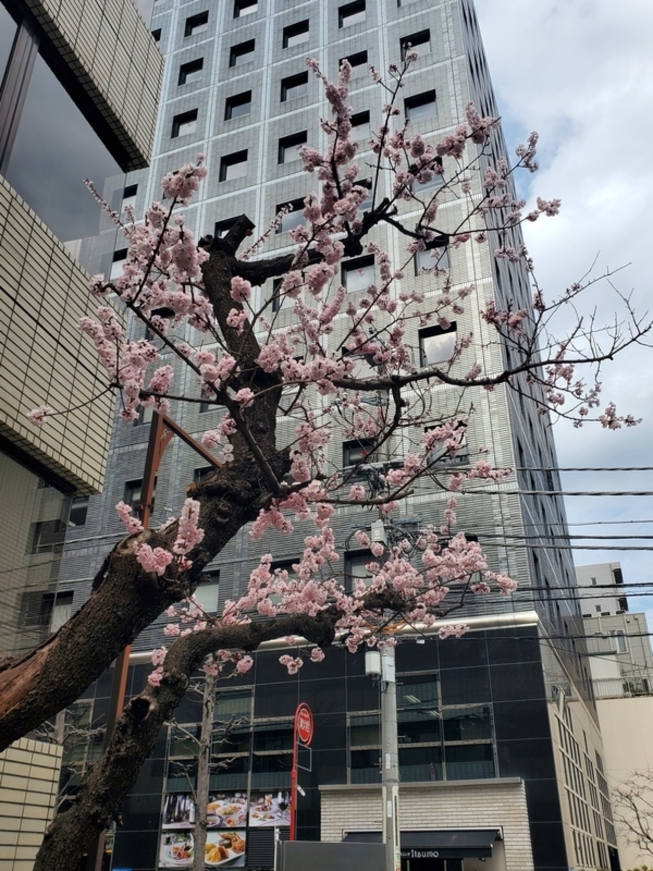 旧町名 東京都中央区新川 - 歩・探・見・感