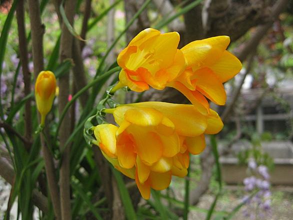 栄光の希望とは 人気 最新記事を集めました はてな