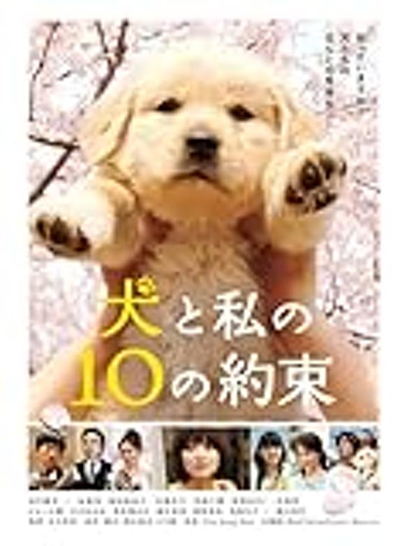 マリと子犬の物語とは 映画の人気・最新記事を集めました はてな