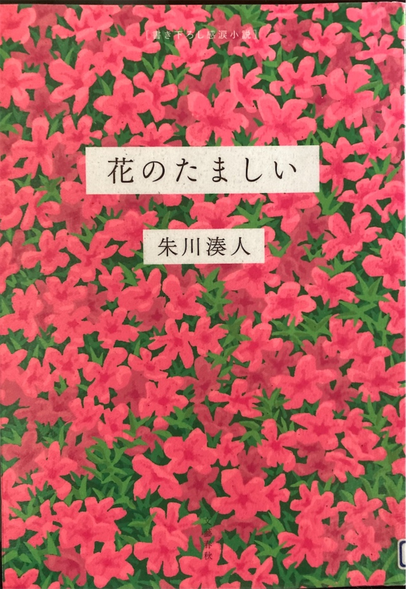 花のたましい(朱川湊人) - タケ・タケ・エヴリバディ!