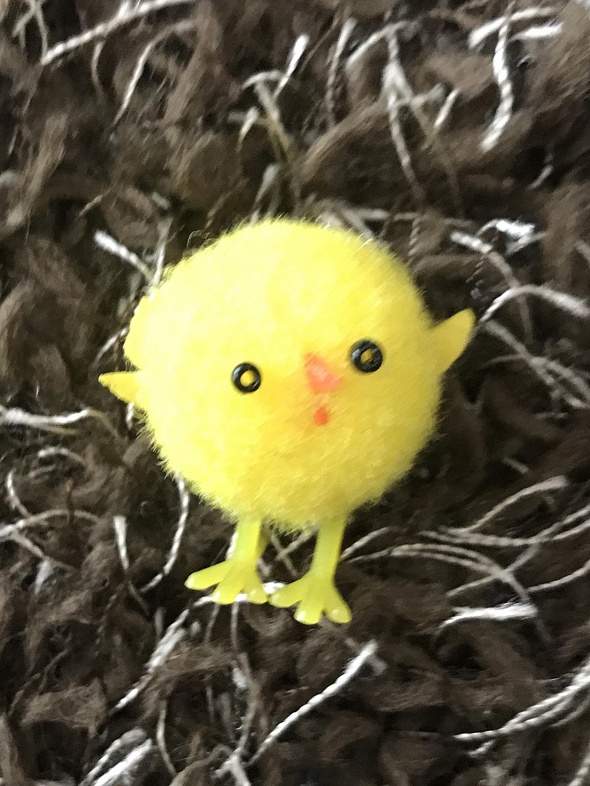 負け犬のオーボエ