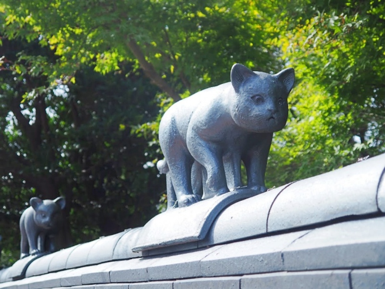 安田瓦ロードの猫たち。 - ひねもすのたり。