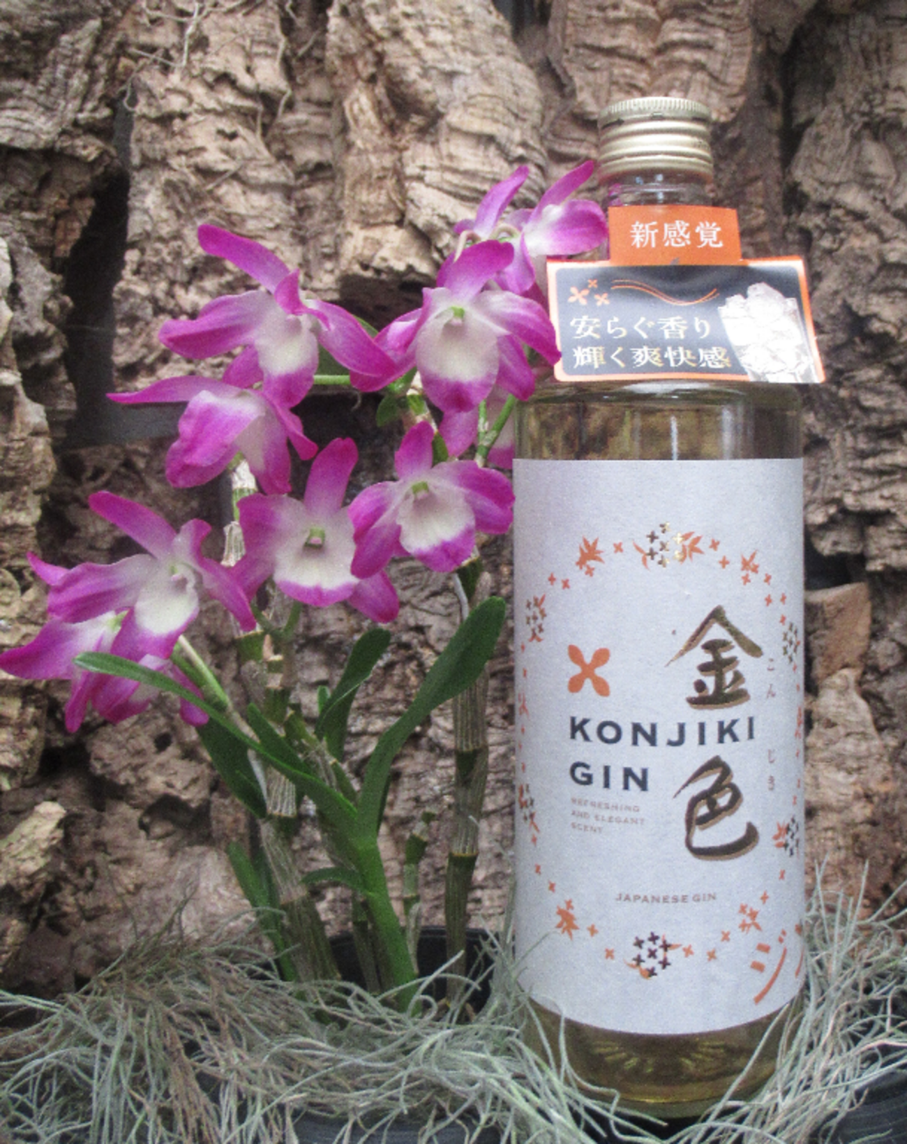 「金色(KONJIKI GIN)」 今年の大河は豊臣兄弟か~ - ジンを楽しみ ジンで遊ぶ
