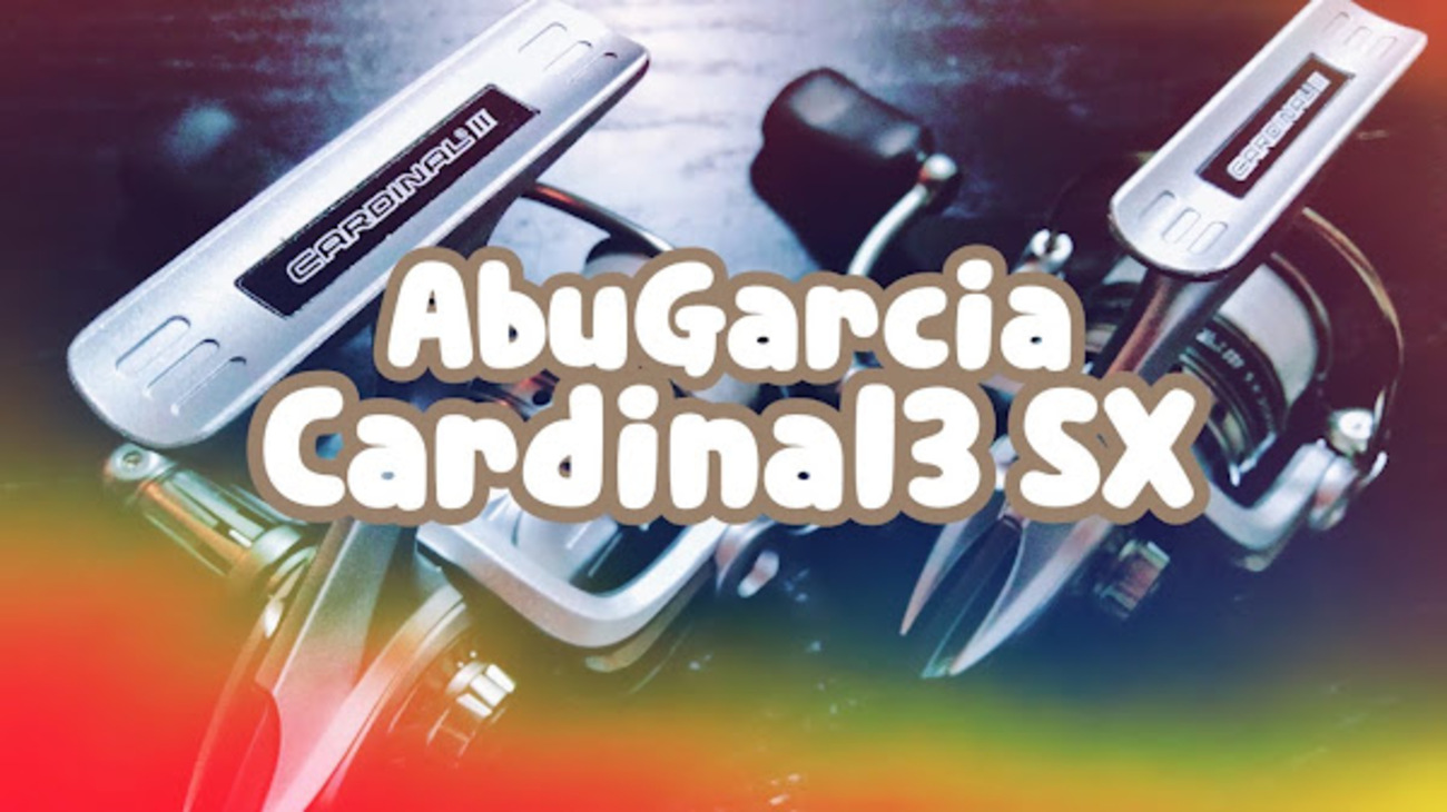 AbuGarciaのCardinal Ⅲ SXのコスパが良すぎて2つ買った話 - ポキオ輪