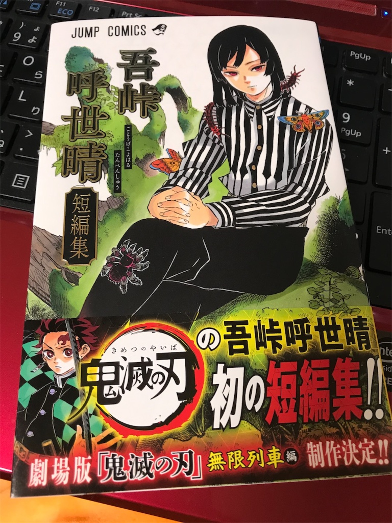 鬼滅の刃の作者 吾峠呼世晴先生の短編集がおもしろい - 未完成の日々