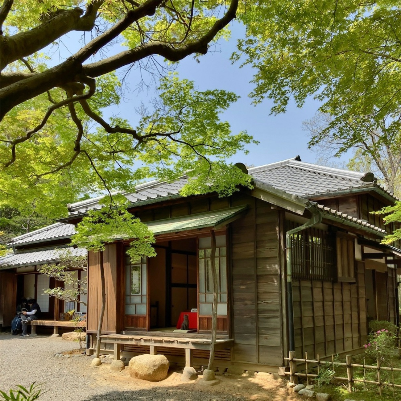 明治の文豪が名作を生んだ家 | 森鷗外・夏目漱石住宅 - 平日腰掛けOLの 
