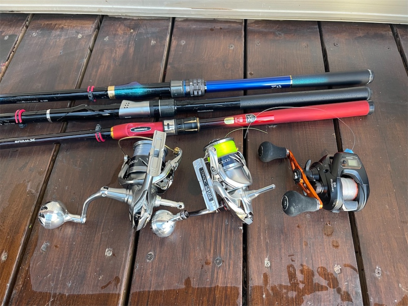 SHIMANO シーリアとバルケッタ300PGのセット （シマノ(SHIMANO) 海上 