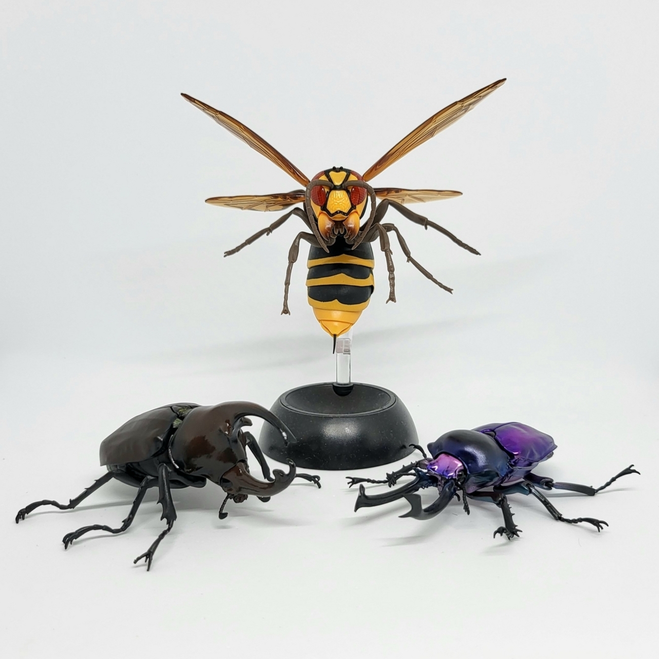 backend=imagemagick;version=1;