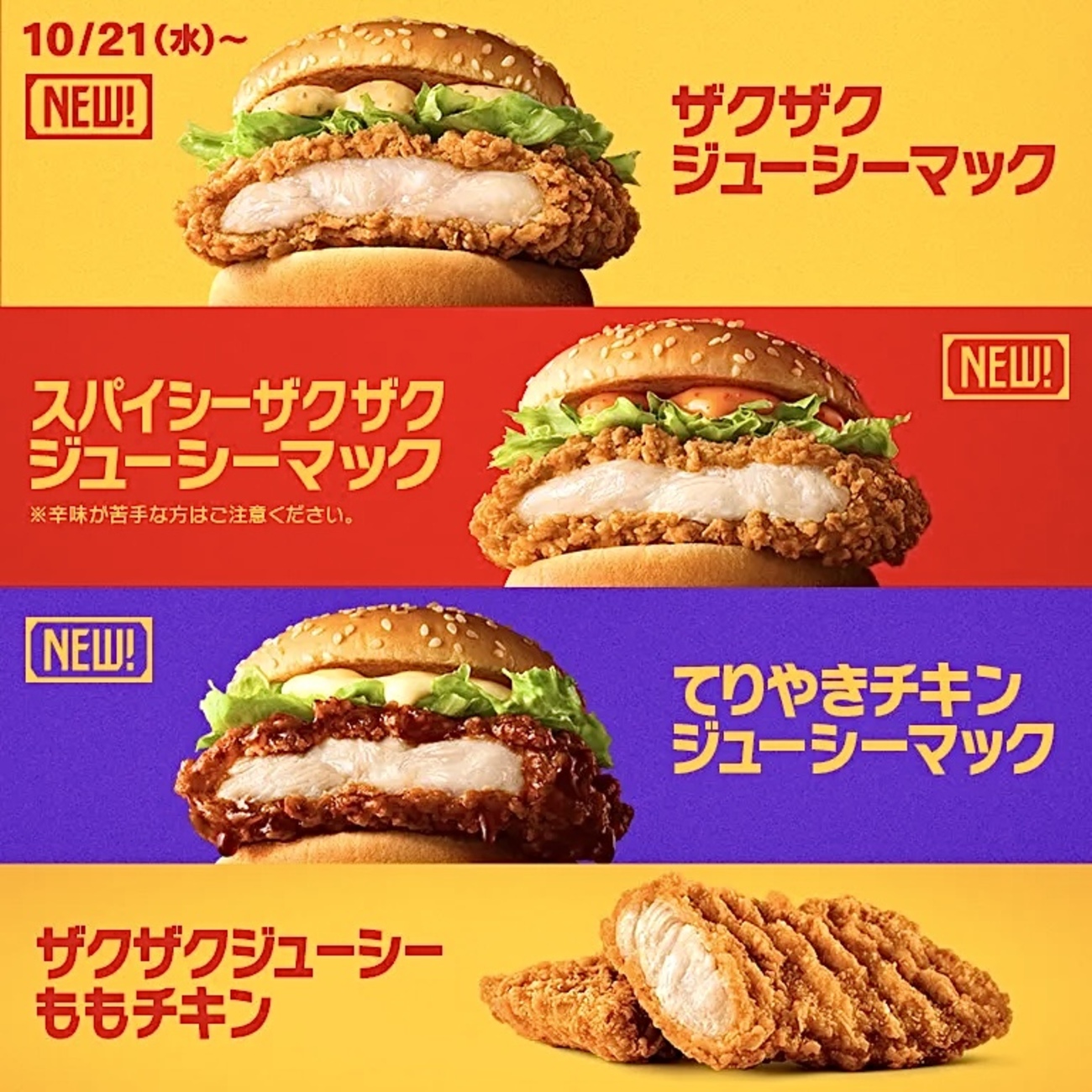 活動歴および当時の関連ビジュアル記録