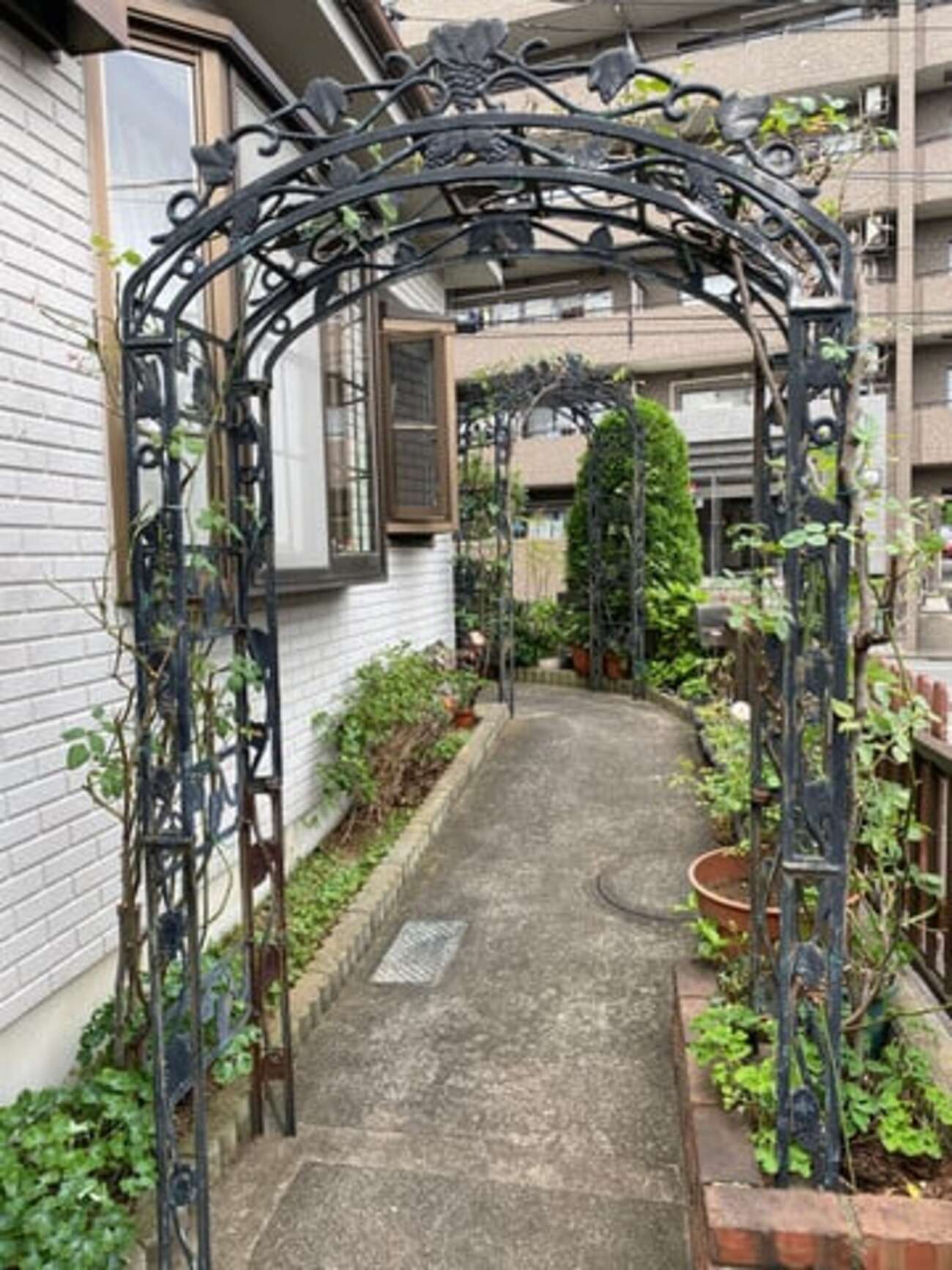 植木屋さんにヘルプ! - 散歩の道すがら
