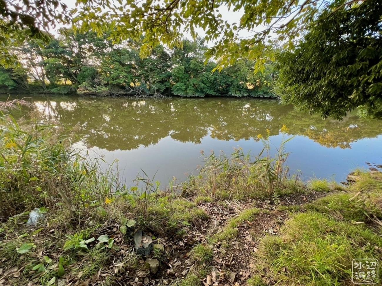 backend=imagemagick;version=1;