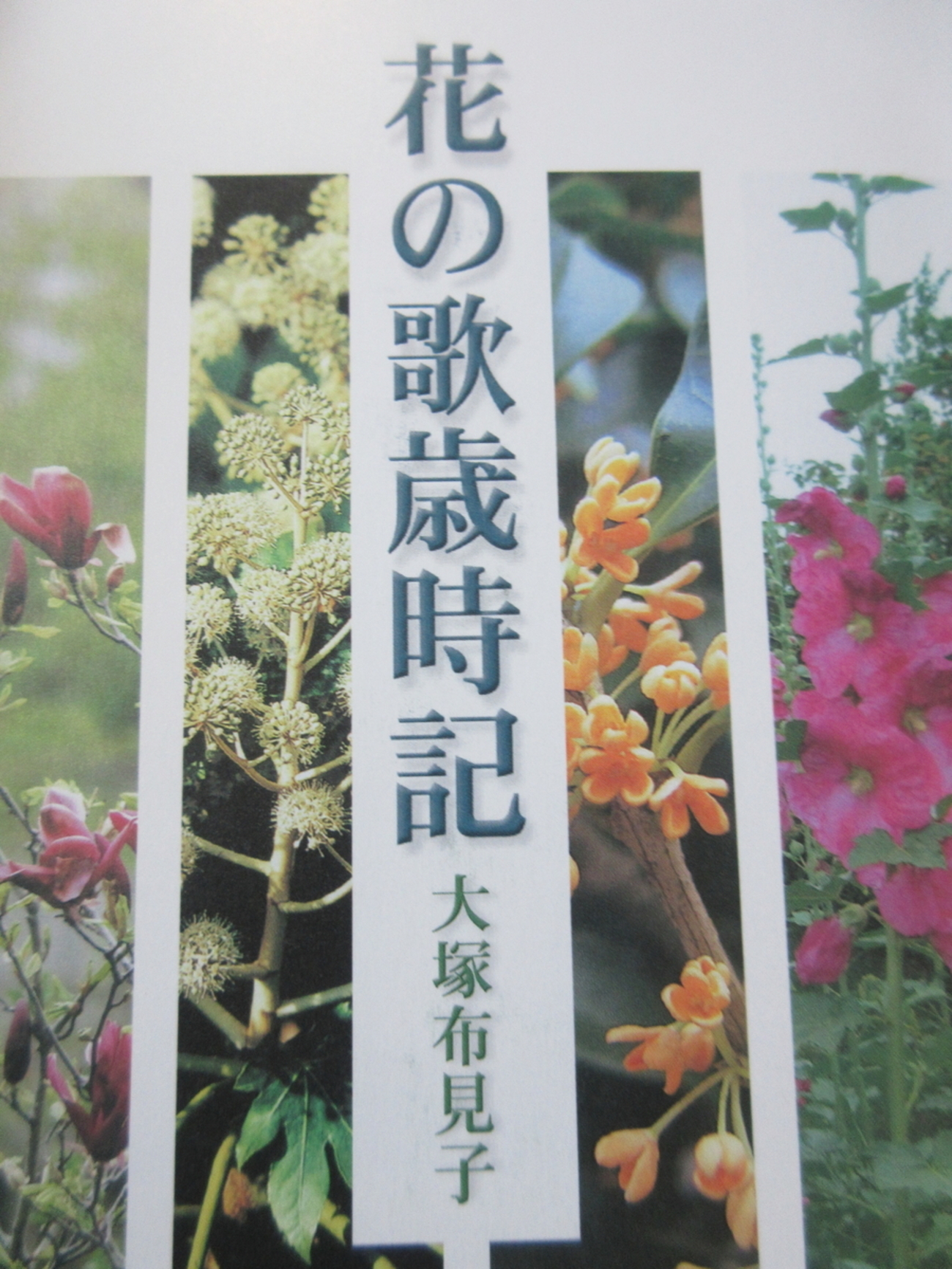 大塚布見子『花の歌歳時記』抄 - 剣持雅舟のブログ
