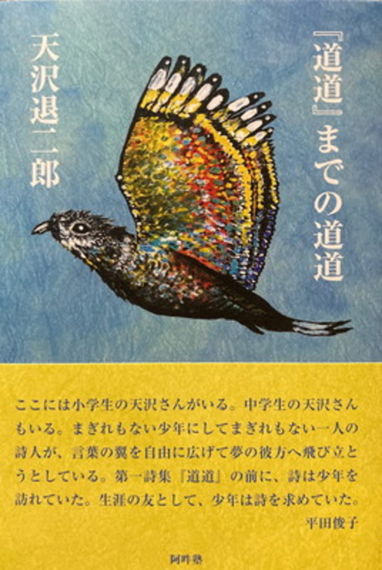 道道』までの道道 天沢退二郎詩集 - bookface