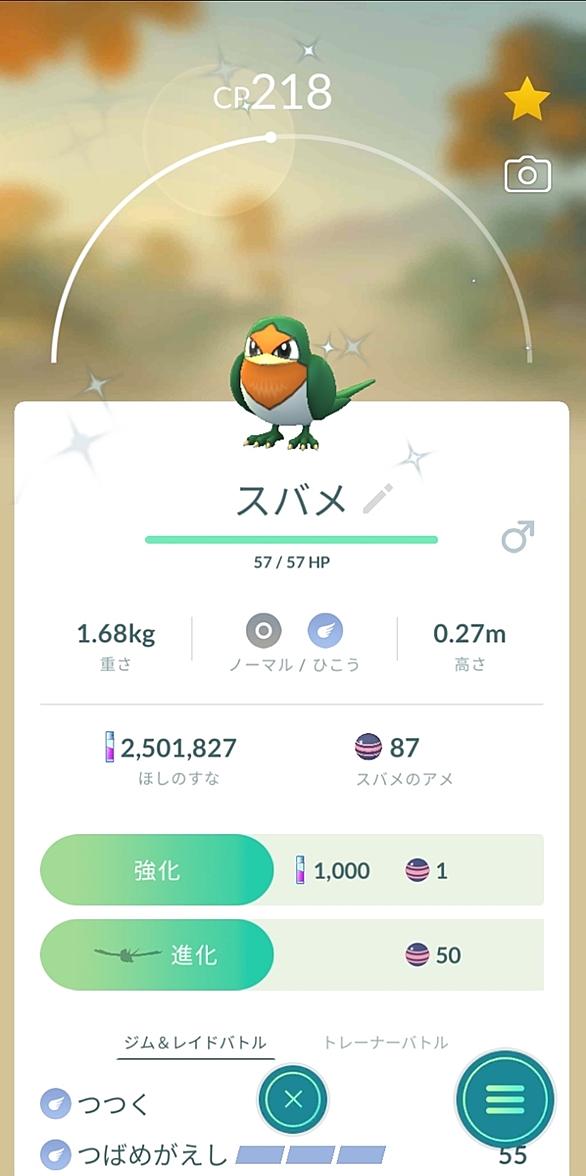 スバメとは ゲームの人気 最新記事を集めました はてな