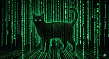 SAM3とマトリックス・コードで作る"cat matrix"