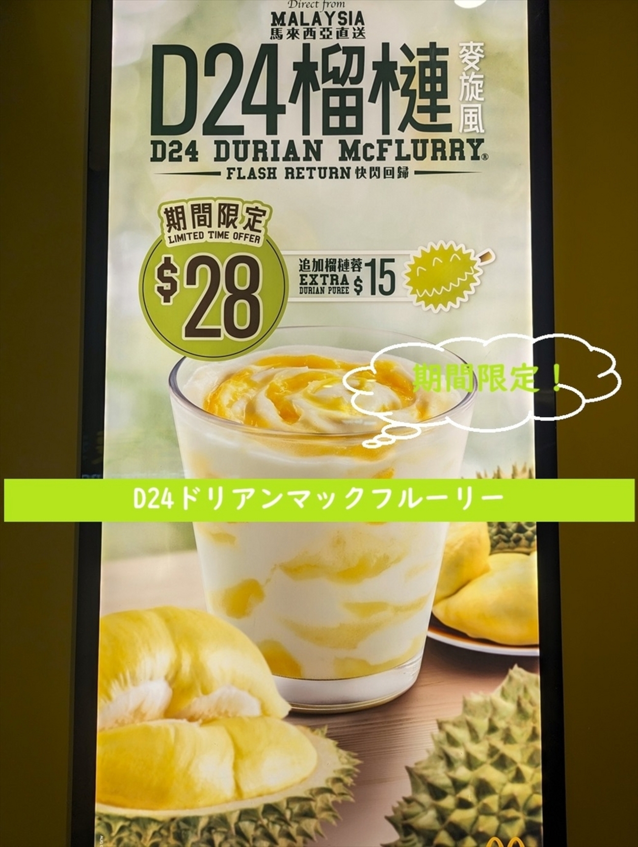レア　McDonald マックドゥードゥル　バンド　香港 backend=imagemagick;version=1;