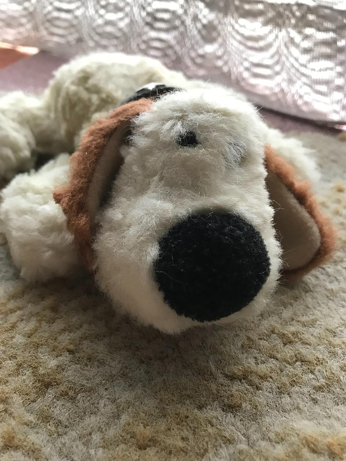甘党犬のお菓子小屋 たま にホラー 雑記