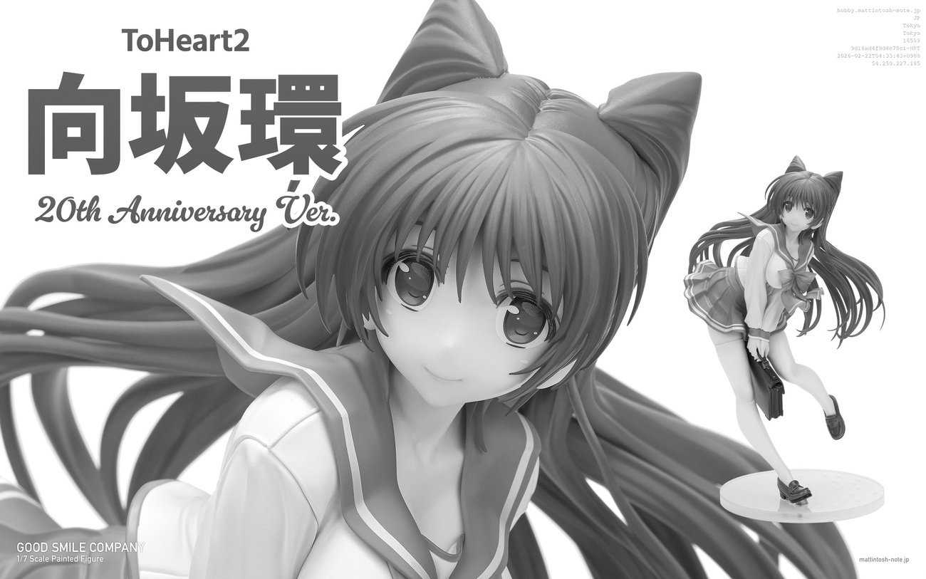 REVIEW グッドスマイルカンパニー ToHeart2 向坂環 20th Anniversary