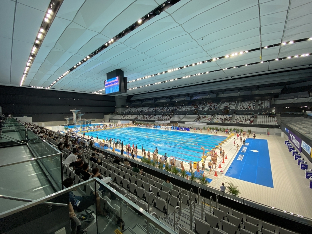 arena - 水泳　競泳　JO jo ジュニアオリンピック カップ　全国大会　joc JOC JOC JUNIOR OLYMPIC CUP 2024大会記念品