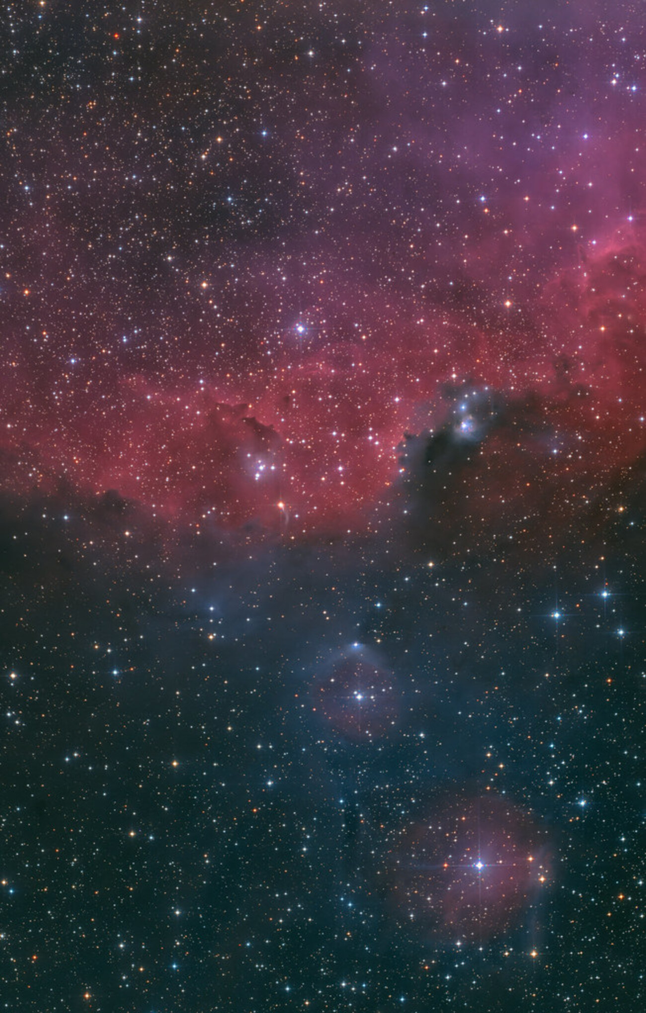 ハト星雲の周辺、改めオウム星雲の周辺 - 天文はかせ幕下