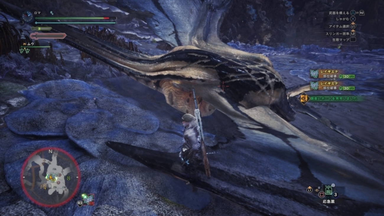 【モンハンワールド】調査クエストの特別報酬枠の色について・まとめ【MHW】 - 気になる事や好きなこと