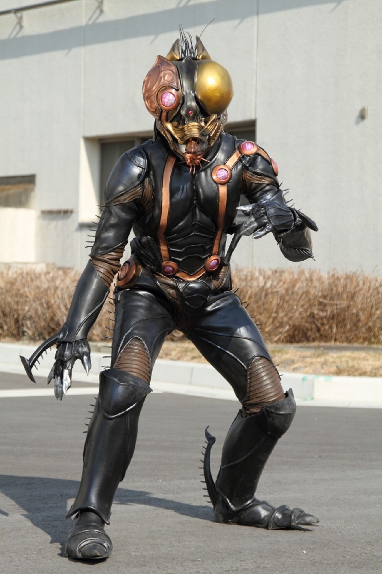 ムスカ・ゾディアーツ - ABCのブログ