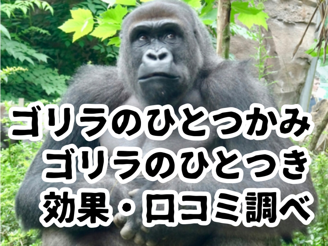 ゴリラのひとつかみ （SNSで話題の「ゴリラのひとつかみ」が進化 