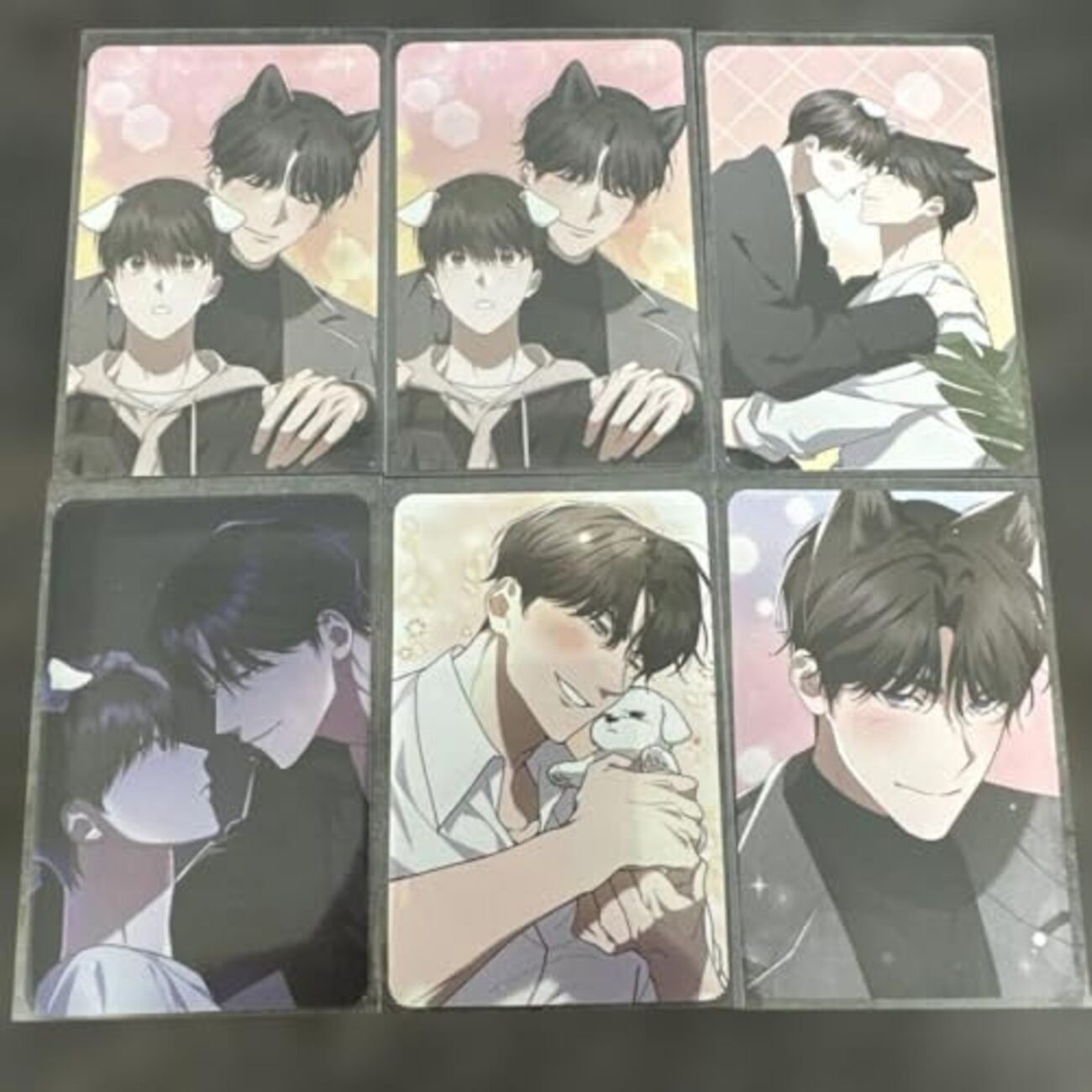 韓国 BL ワンちゃんには手をだすな A5 イラスト色紙 4種セット 【公式