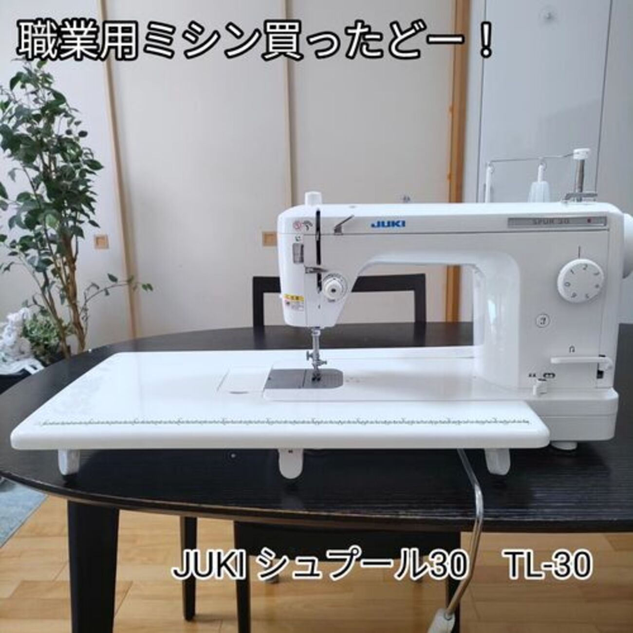 JUKI SPUR 30 職業用ミシン TLシリーズ TL-30｜JUKI家庭用ミシン