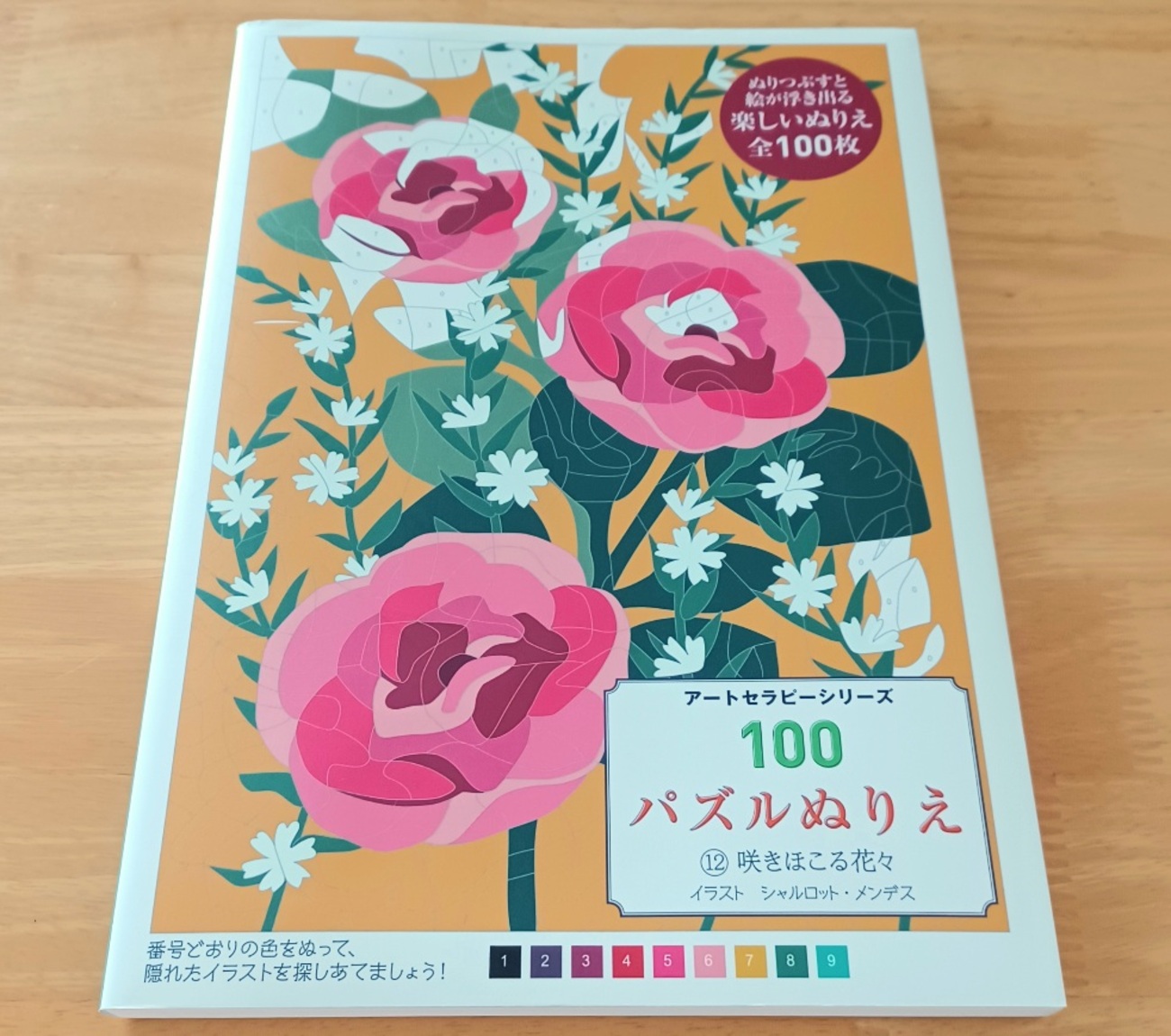 100パズルぬりえ】シリーズ - 塗り絵さんぽ