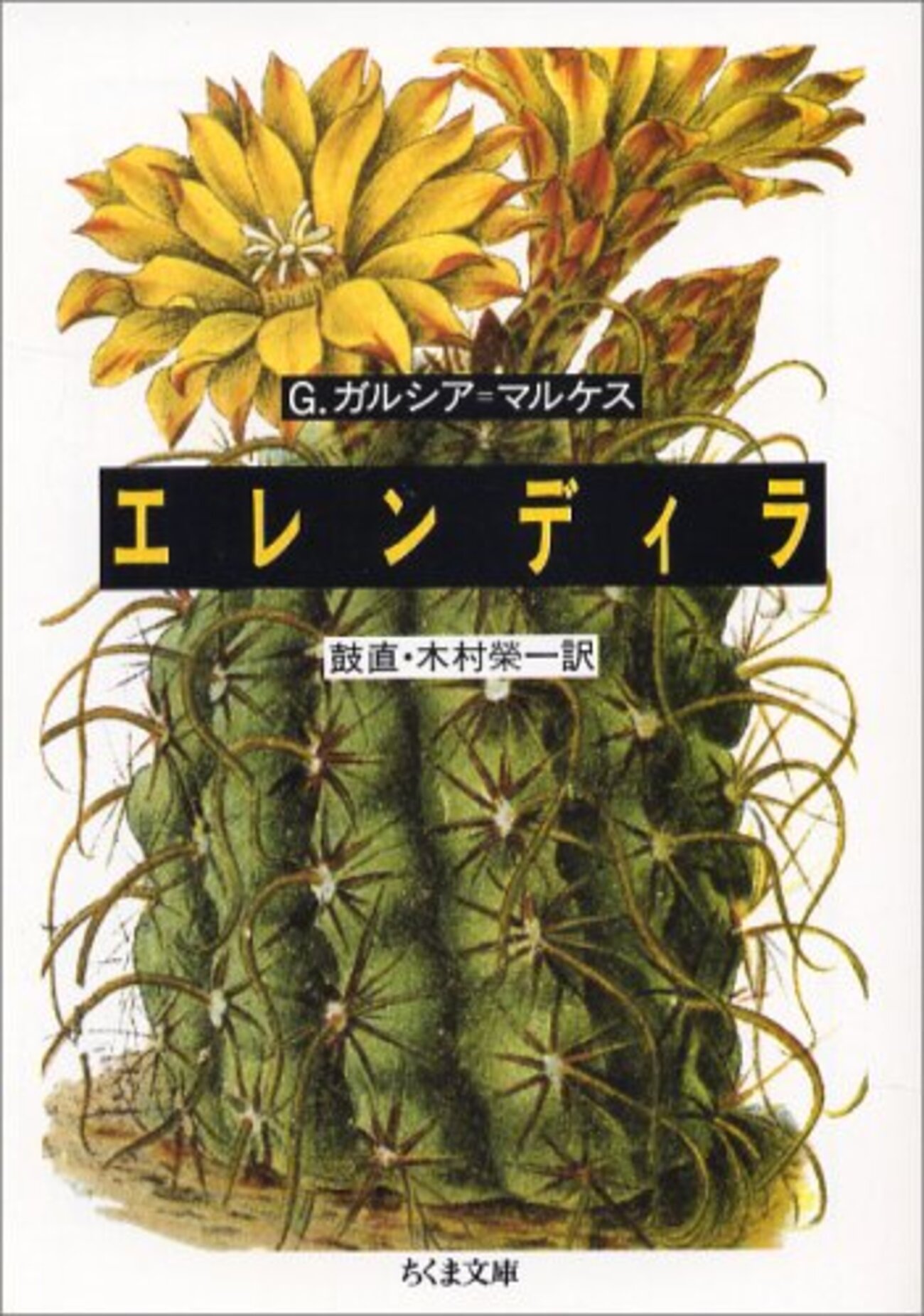 backend=imagemagick;version=1;