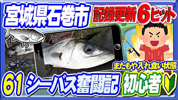 神回とは 一般の人気 最新記事を集めました はてな 神回とは 一般の人気 最新記事を集めました はてな