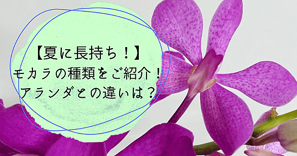 カリプソとは 音楽の人気 最新記事を集めました はてな