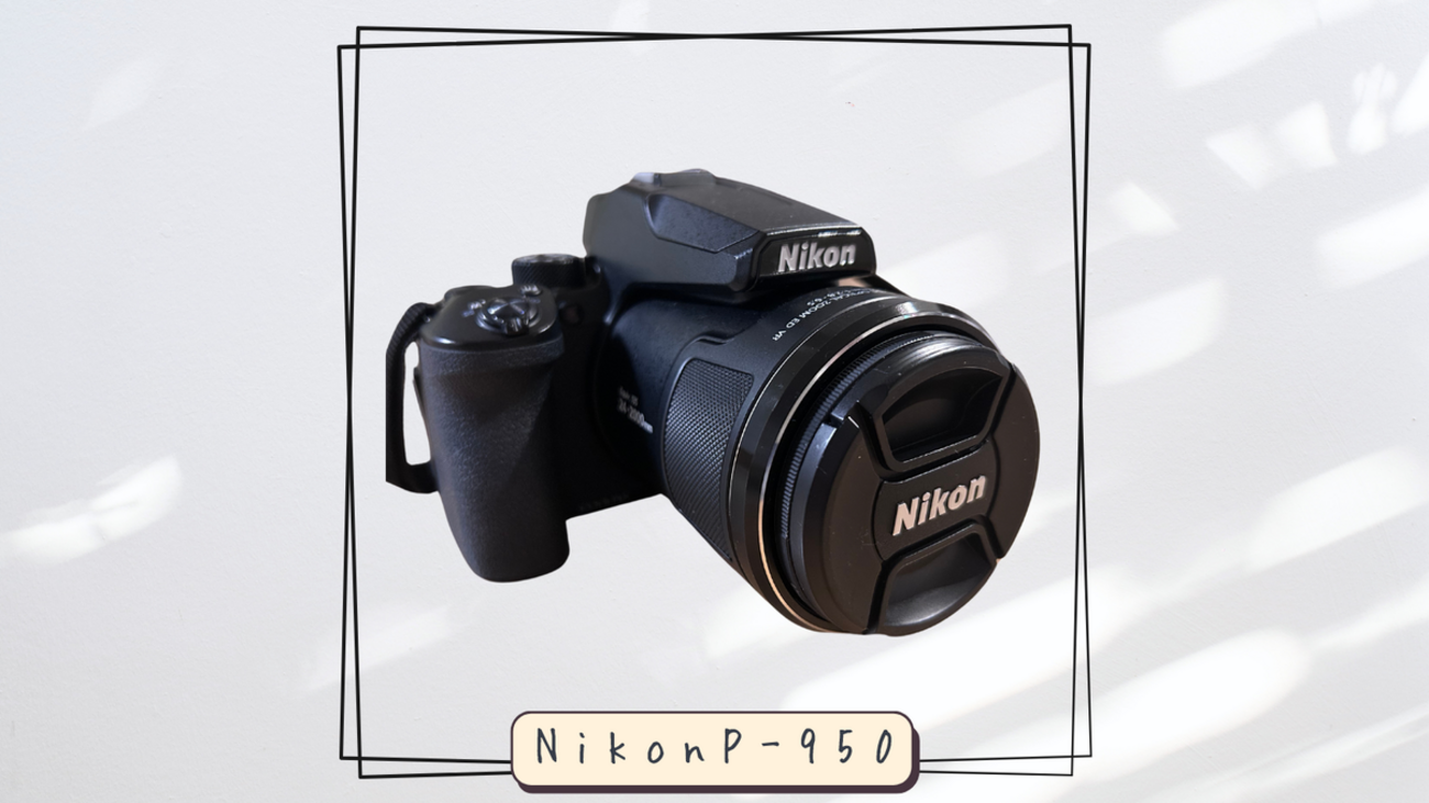 Nikon P950｜カメラ紹介。野鳥撮影初心者、カメラ知識ゼロでもOK - 鳥 