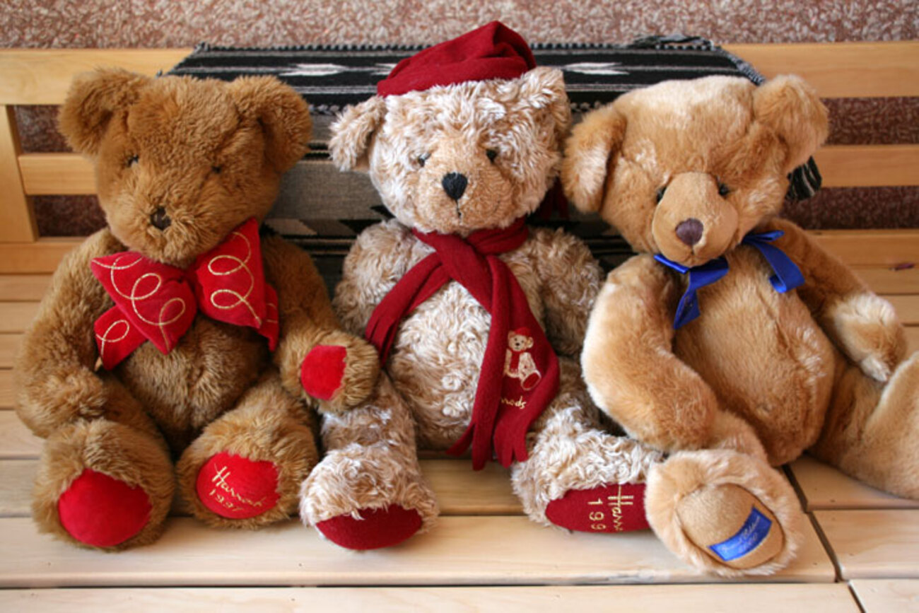 くまちゃん専用8タイトル クマがいっぱい - A Dog's World