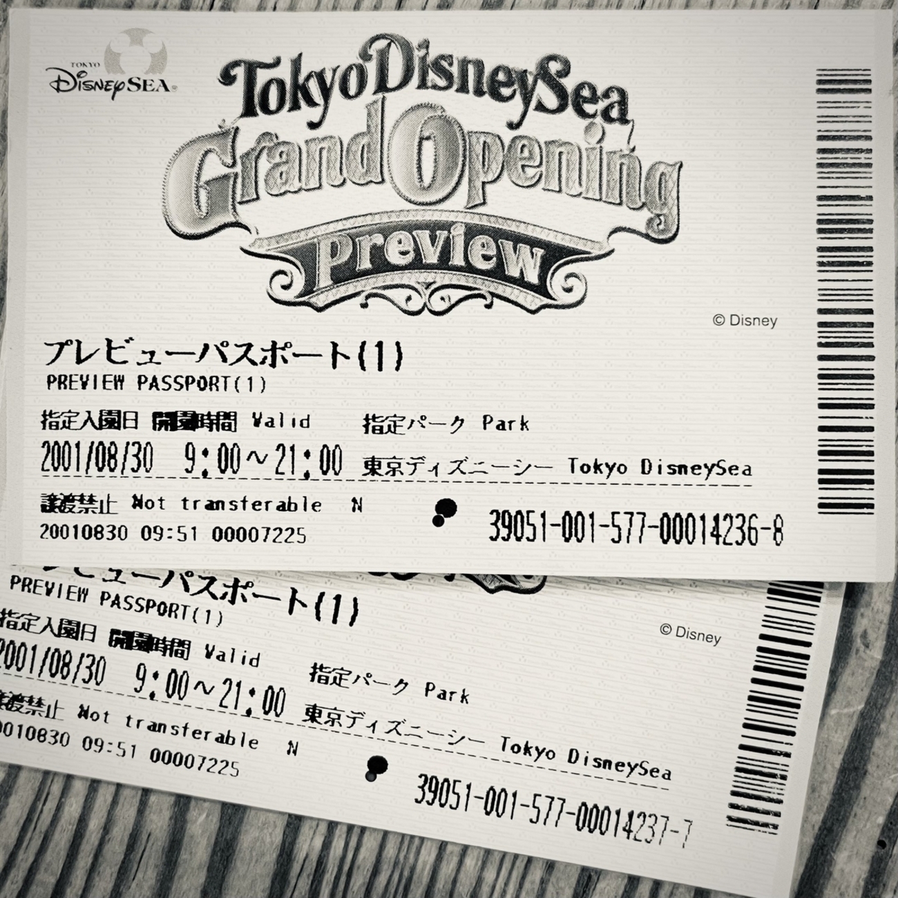 ちょっとした転機になったものが出てきました！22年前のTDS の 