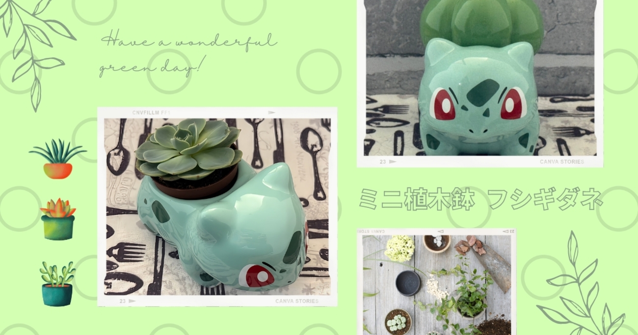 ポケモンセンター】癒しのインテリアとして大人気！「ミニ植木鉢 